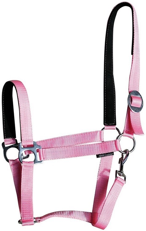 Harry's Horse Halster Padded