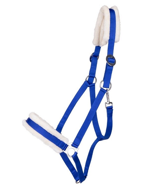 QHP Halster Cali trekpaard