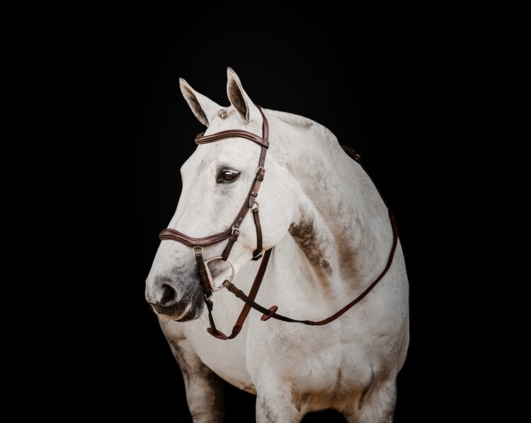 Horseware Micklem 2 Deluxe Competition hoofdstel