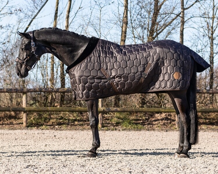 QHP Staldeken Classy