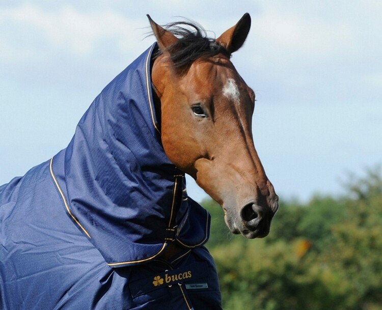 Bucas Irish Turnout Combi Neck 300grs