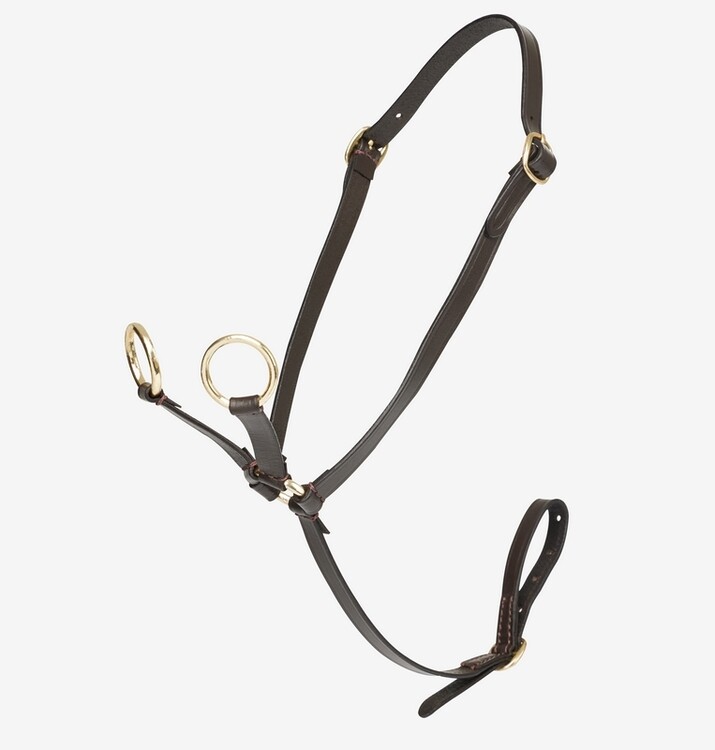 LeMieux Mini Toy Pony Martingaal