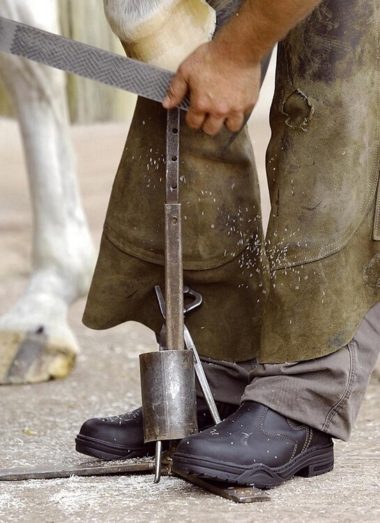 Mountain Horse Protective Jodhpur