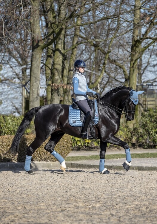 LeMieux Zadeldek Loire Classic Satin Dressage