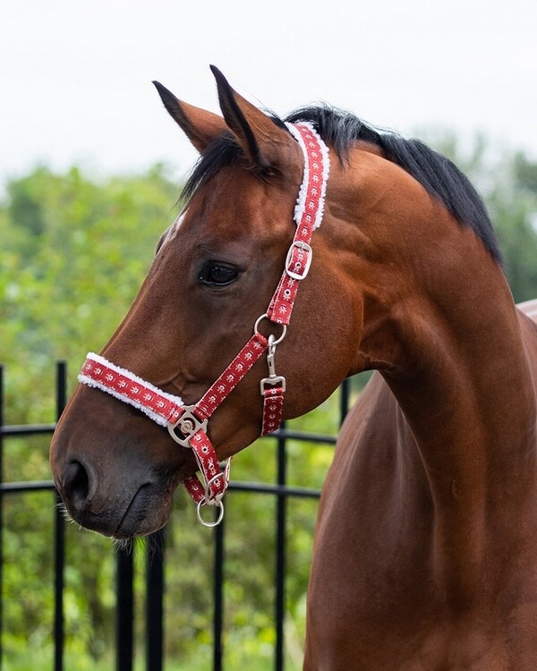QHP Halster Kerst
