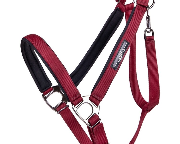 QHP Halster Deluxe Trekpaard