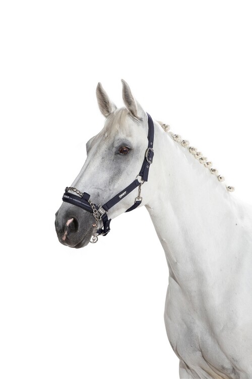Eskadron Halster Control met ketting