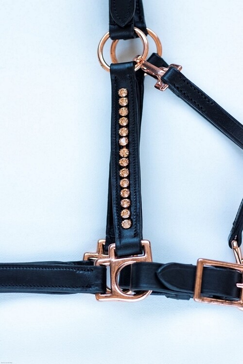 HB Showtime Veulenhalster Rosegold