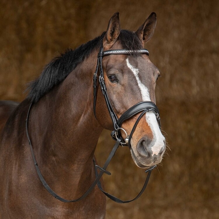 Harry's Horse Hoofdstel Drops