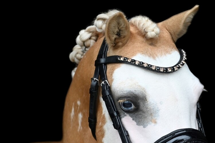 HB Hoofdstel Showtime Special A-pony