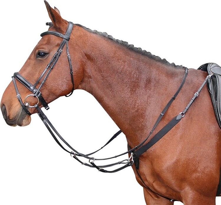 Harry's Horse Elastisch voortuig