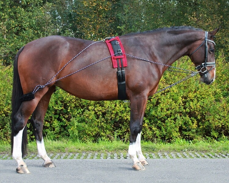 QHP Longeerpad