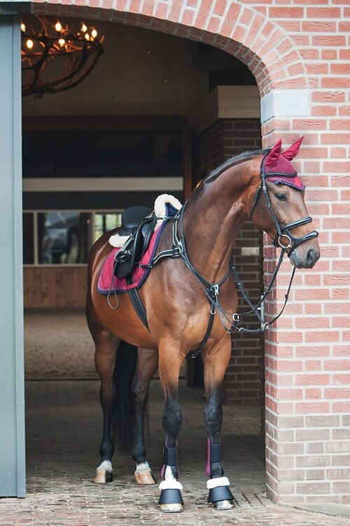 BR Peesbeschermers Event