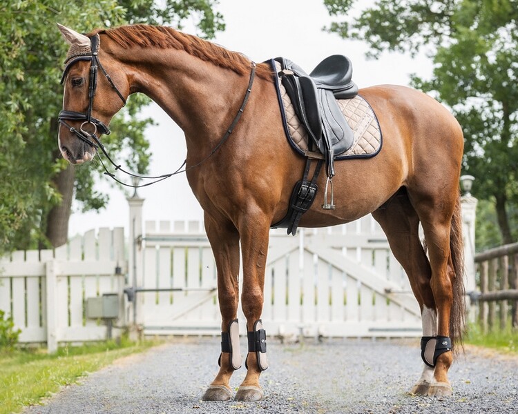 QHP Peesbeschermers
