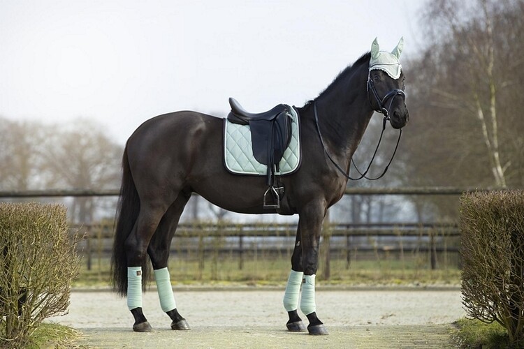 BR Peesbeschermers Event
