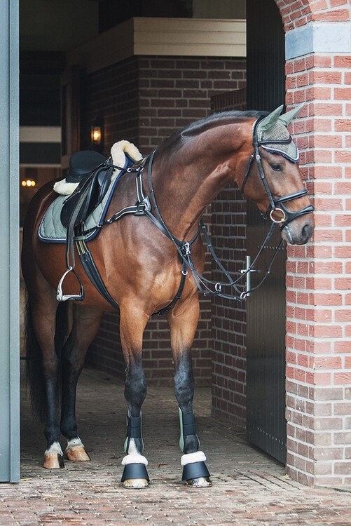 BR Peesbeschermers Event
