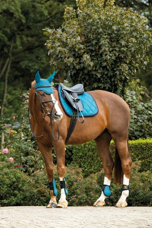 BR Peesbeschermers Event