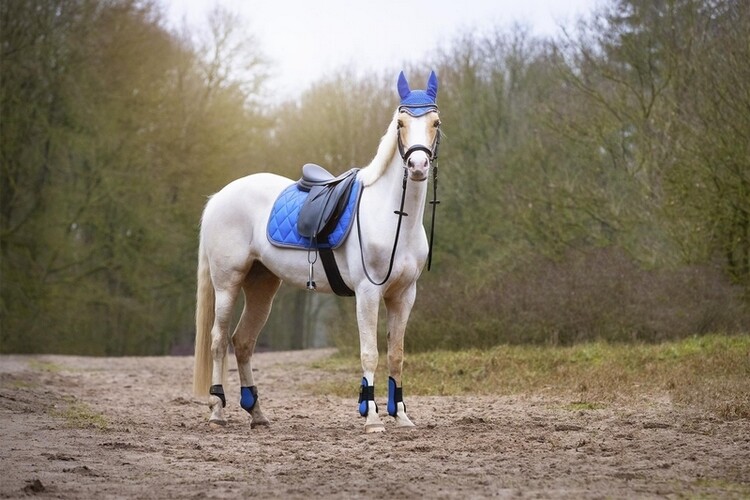 BR Peesbeschermers Event