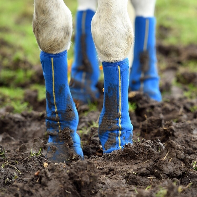Equi Chaps Close Contact