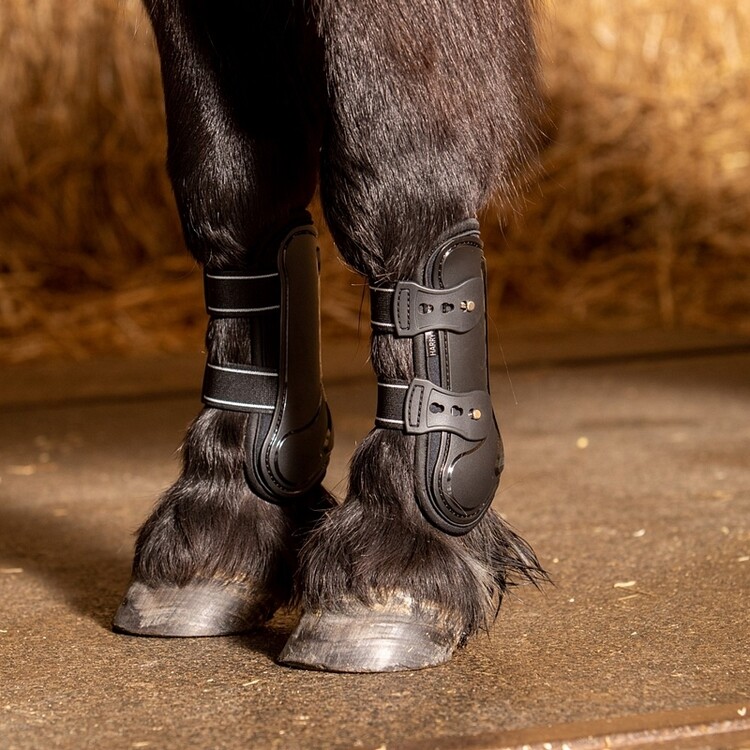 Harry's Horse Peesbeschermers Pinlock Shetland