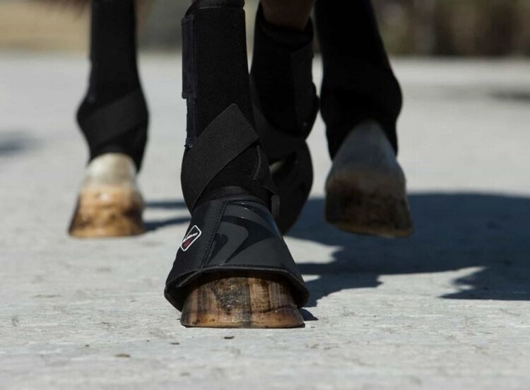 LeMieux ProShell Springschoenen