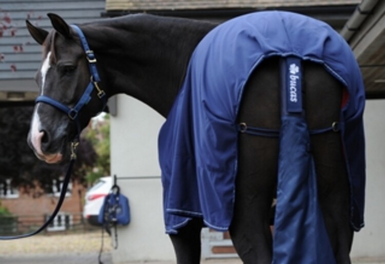 Bucas Tail Protector/Bag