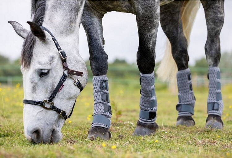 LeMieux Gladiator Mesh Fly Boots