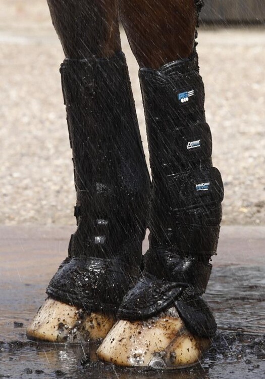Premier Equine Mud Fever Turnout Boots