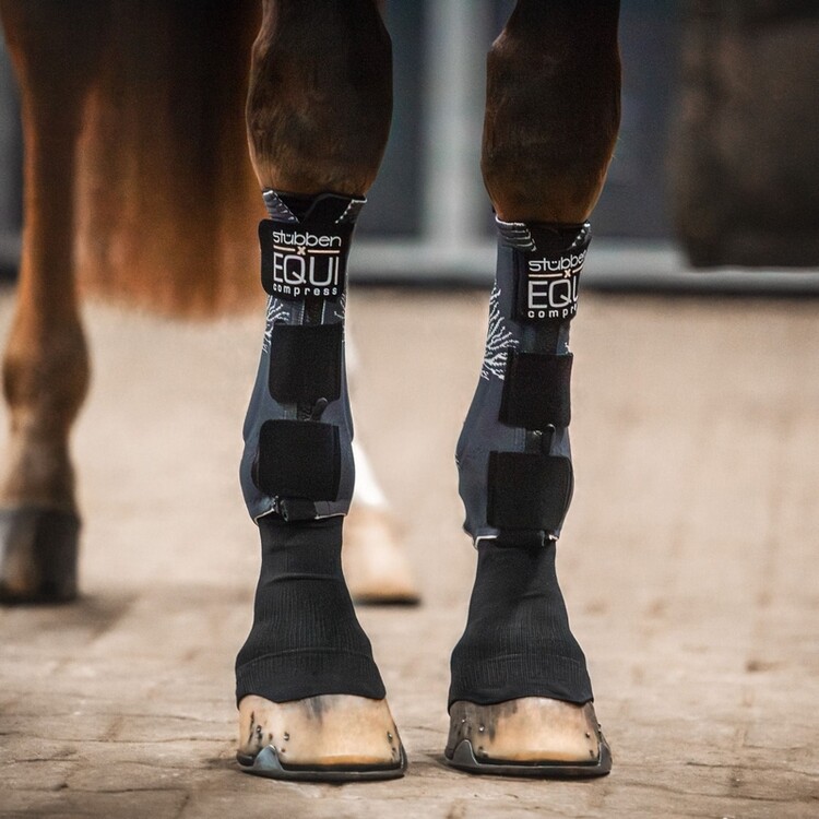 Stübben Equi Compress set voorbenen
