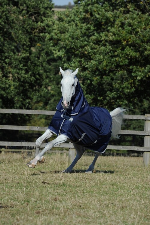 Bucas Freedom Turnout 150 Fullneck