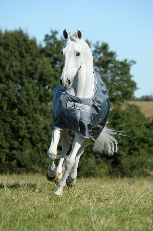 Bucas Smartex Extra