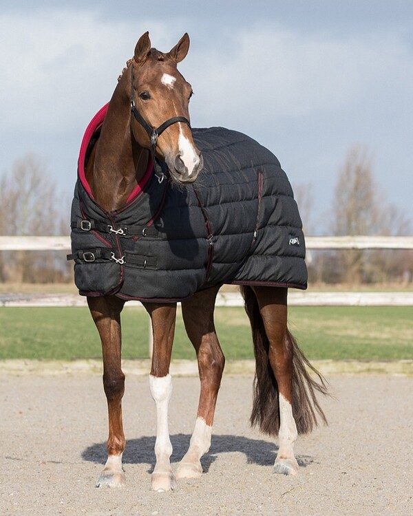 QHP Staldeken luxe Collection 200gr