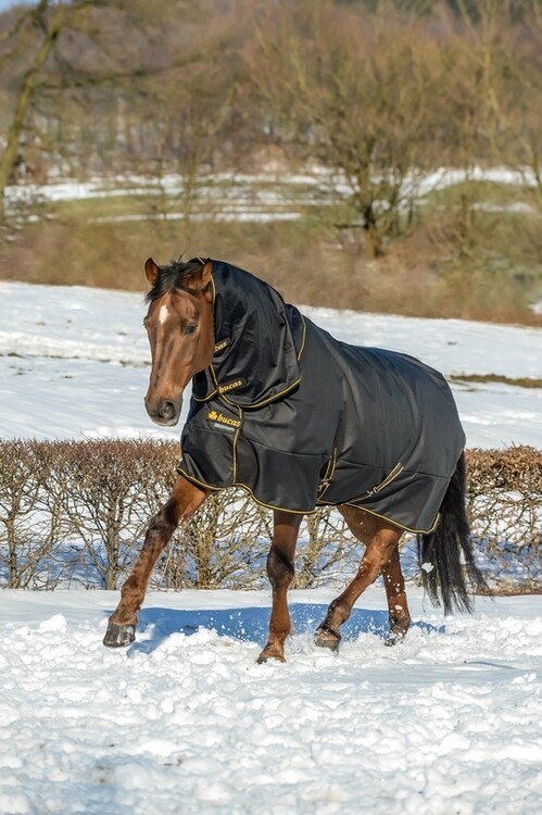 Bucas Irish Turnout Combi Neck 300grs