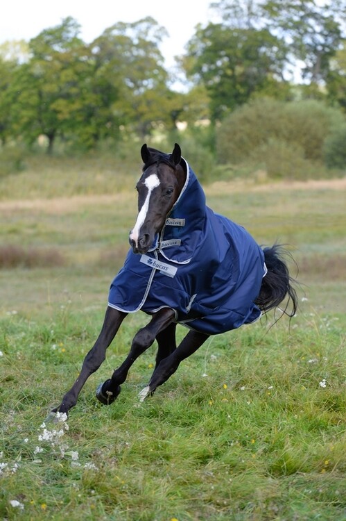 Bucas Freedom Turnout Light 0grs Fullneck