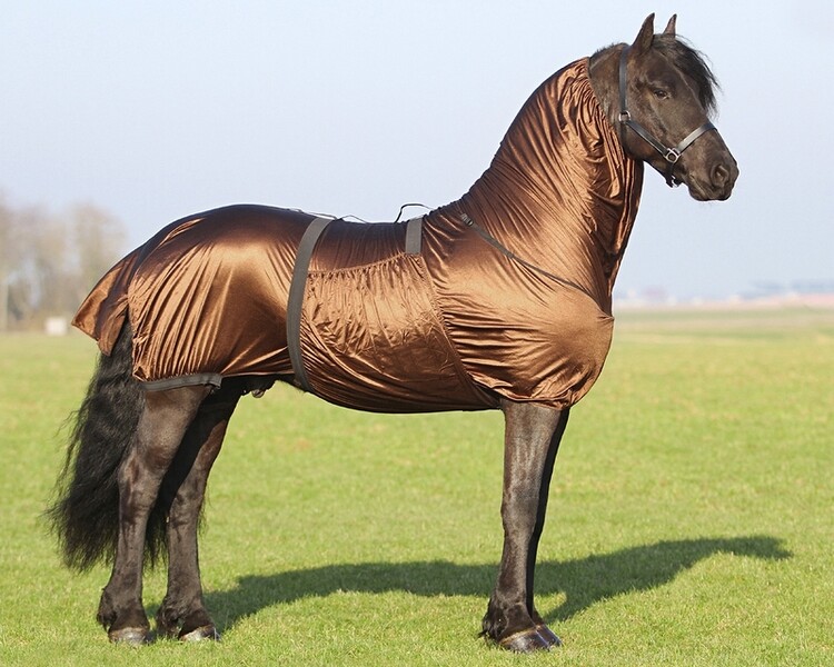 QHP Eczeemdeken Big Neck