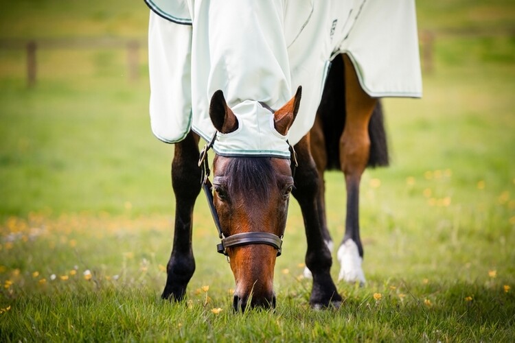 Horseware Rambo Hoody
