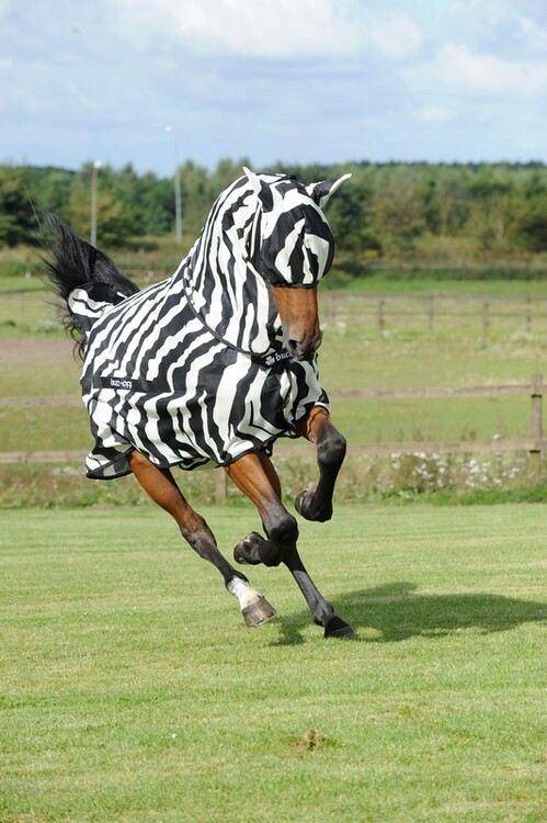 Bucas Buzz-Off Fly Mask Zebra