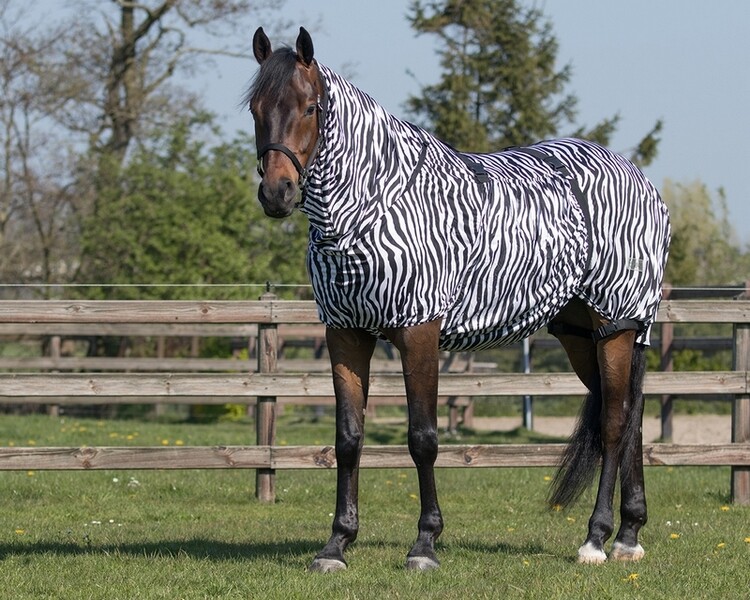 QHP Eczeemdeken Zebra