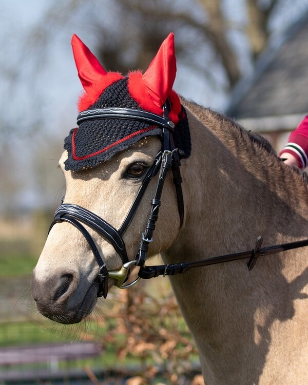 QHP Oornetje Halloween