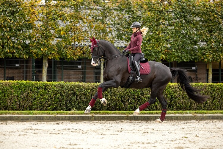 LeMieux Oornetje Crystal
