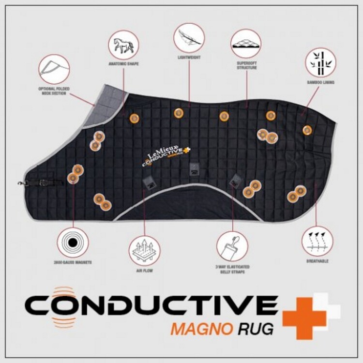 LeMieux Conductive Magnotherapy Deken