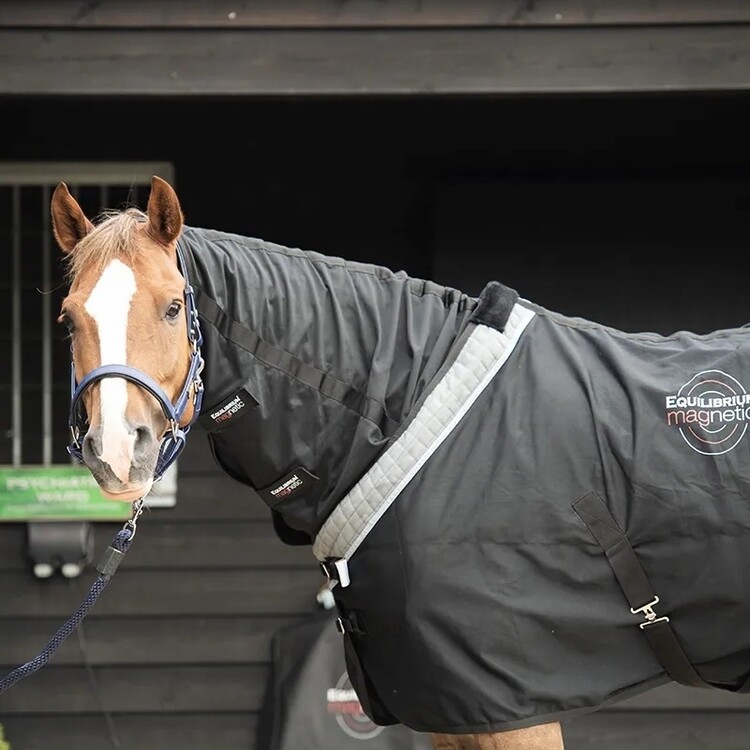 Equilibrium Magneetdeken voor paarden
