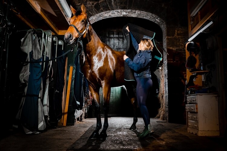 Horseware Autumn Cooler