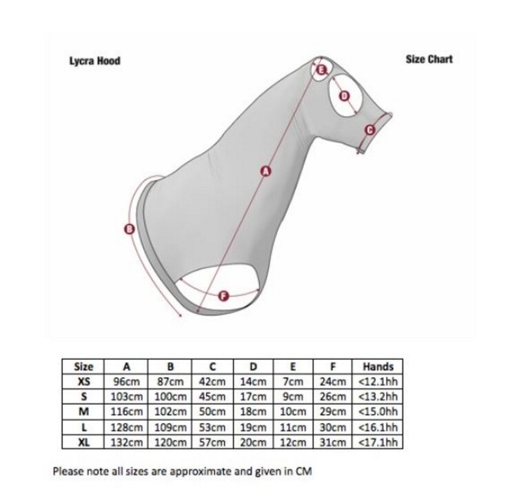 LeMieux Lycra Hood