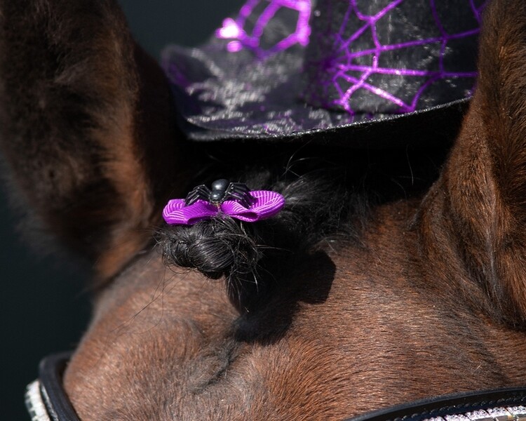 QHP Manenstrikjes Halloween