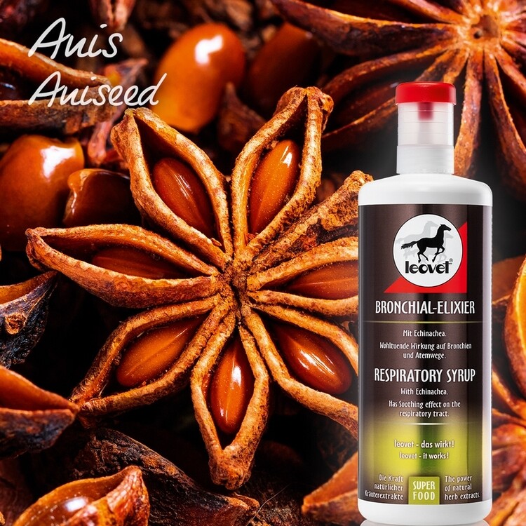 Leovet Bronchiaal Elixer | 1000ml