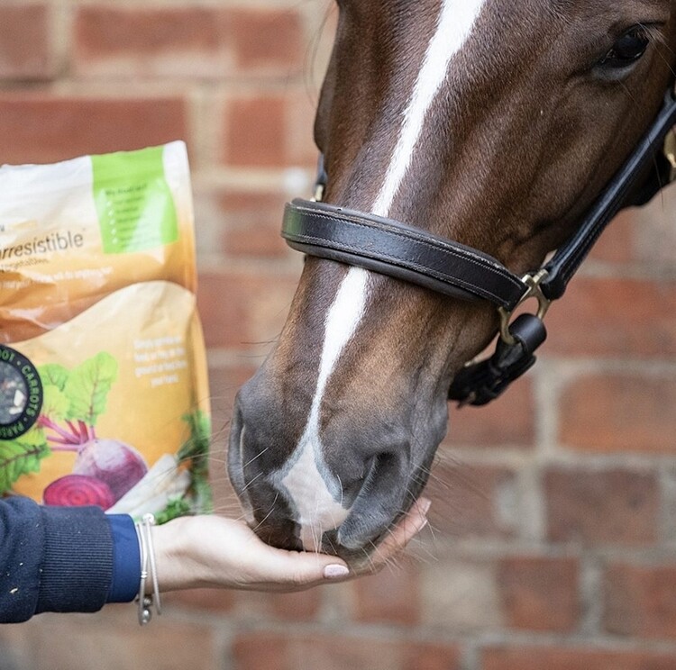 Equilibrium Simply Irresistible Veggie 1,5kg