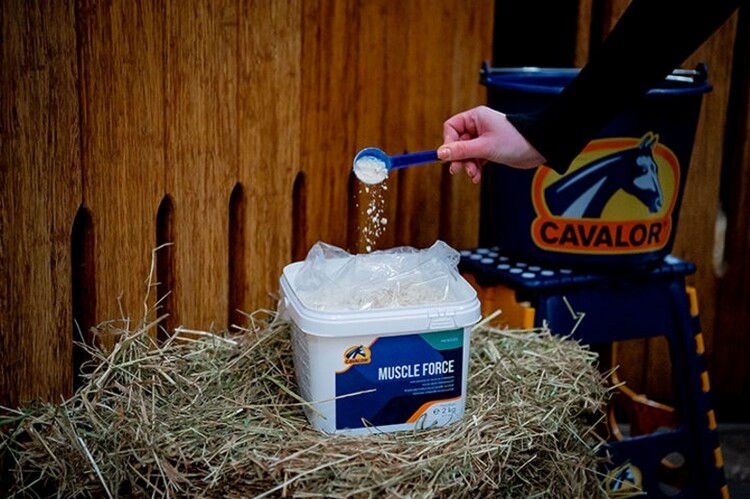 Cavalor Muscle Force 2kg