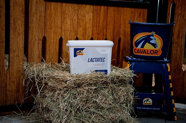 Cavalor LactaTec 2kg