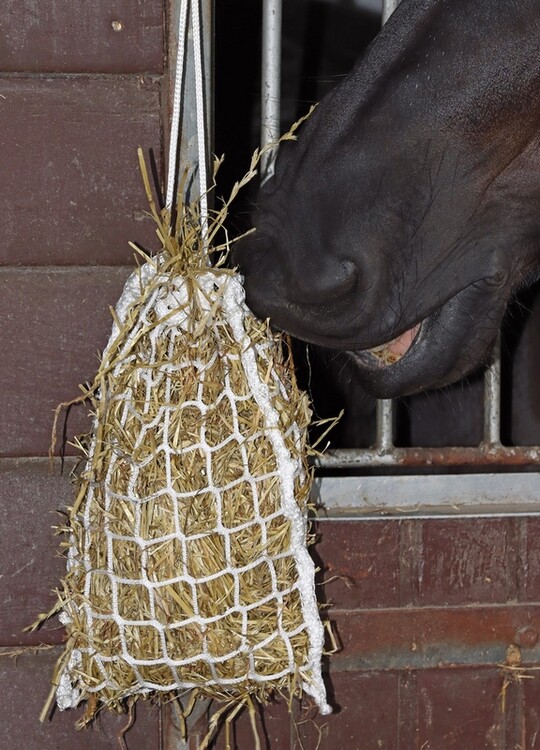 Harry's Horse Hooinet Slow Feeder Mini 33x24 cm